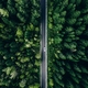 Aerial view green summer forest and asphalt road with car - PhotoDune Item for Sale