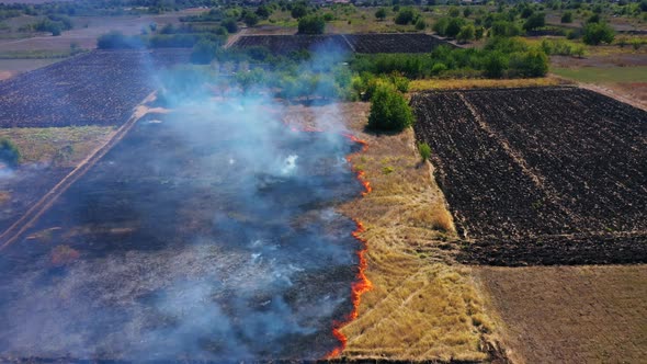 Drone view Of Burning Agricultural Field Smoke
