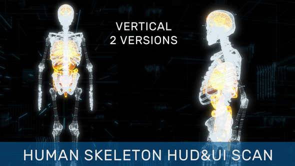 Human Skeleton HUD UI Scan Pack