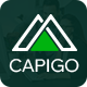 Capigo - Business Marketing WordPress Theme