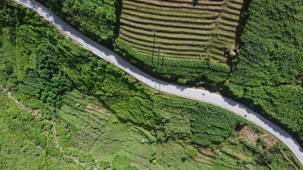 Aerial View of the Road Among the Mountains and the Green Forest in Asia Cars and Motorcycles