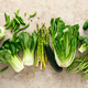 Green vegetable background. Various green vegetables. Veggies. Clean eating, healthy vegetarian, veg - PhotoDune Item for Sale