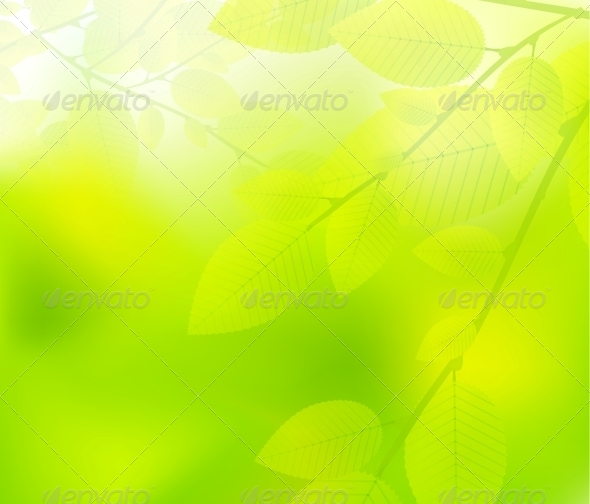 Green Leaves Nature Design - Flowers & Plants Nature