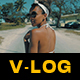 V-Log Hot Summer and Standard Color LUTs