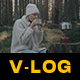 V-Log Moody Forest and Standard LUTs