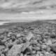 Black and white photo of a volcanic beach, Galapagos Islands, Ecuador. - PhotoDune Item for Sale