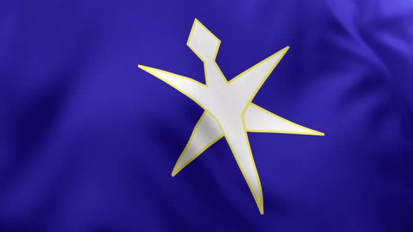 Chiba Prefecture Flag - 4K alt