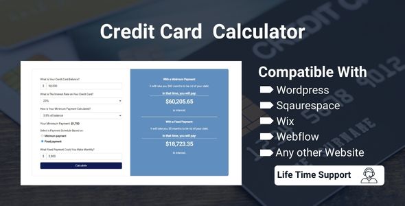 Credit Card Calculator - Web Calculator for your website.