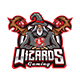 Wizard Mascot Logo Template