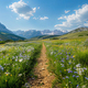 Path through a colorful meadow in the mountains dotted with wildflowers - PhotoDune Item for Sale