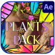 Plants Pack for After Effects