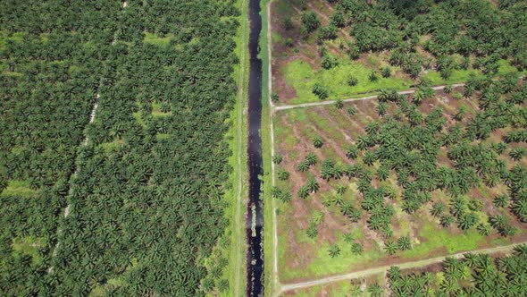 The Beaches at the most southern part of Borneo Island alt