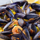 Seafood paella with mussels and shrimps in traditional plate, vertical, closeup - PhotoDune Item for Sale