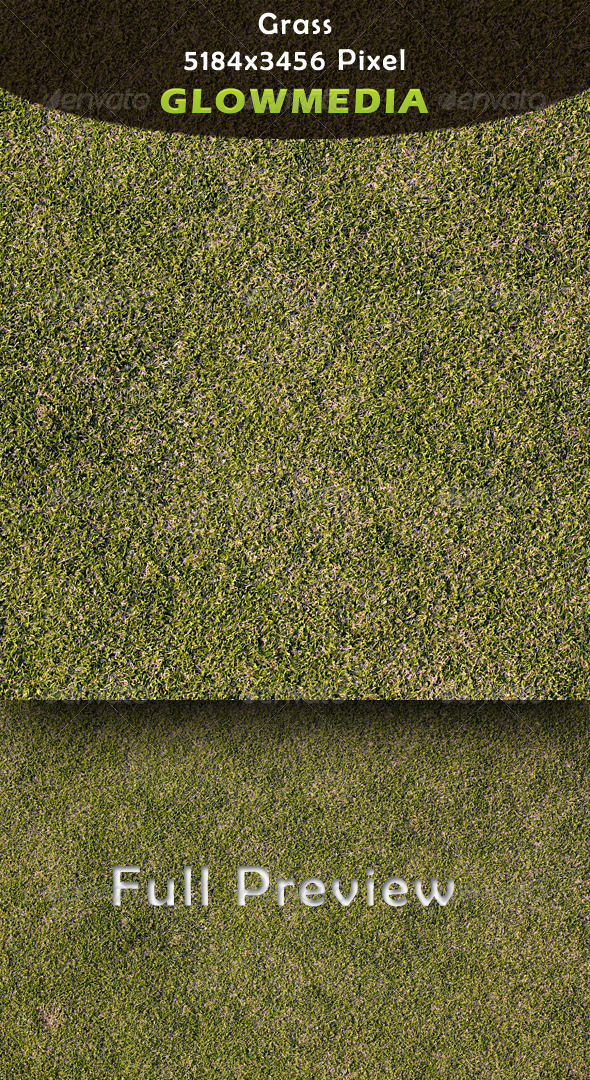 Grass - Nature Textures
