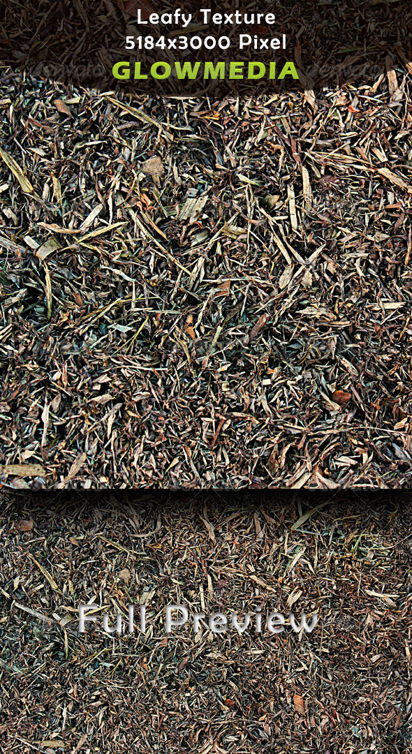 Dry Grass - Nature Textures