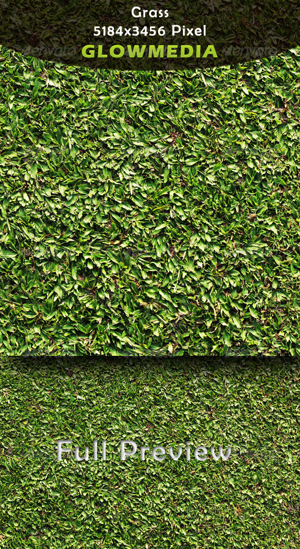 Grass - Nature Textures