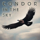 Condor In The Sky