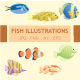 fish illustration with 8 different type 