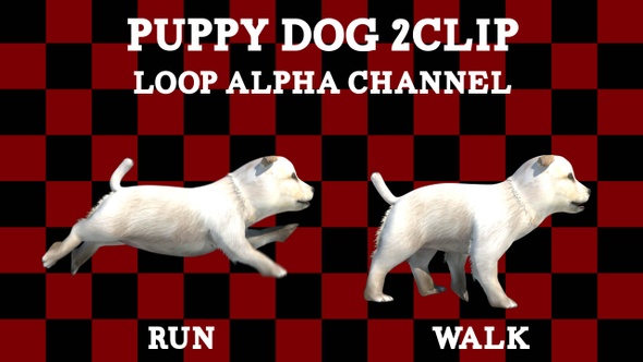 Puppy 2 Clip Loop