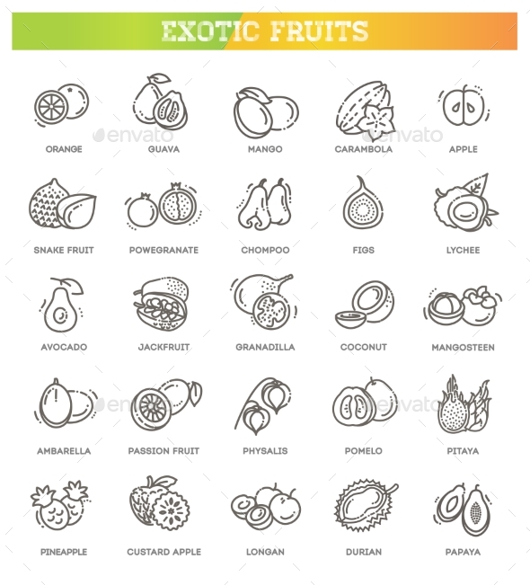 Fruits Exotic Fruits Vegetarian  Flat Icon Set