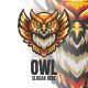 Owl Mascot Logo Illustration