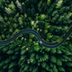 Aerial view of curved road with cars passing through the green summer forest - PhotoDune Item for Sale