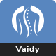 Vaidy - Physiotherapy & Chiropractor WordPress Theme
