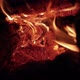 Wood Burning A Pile Of Wood Into Glowing Coals - VideoHive Item for Sale