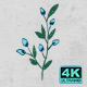Pack Of Hand Drawn Flowers Elements On Alpha - VideoHive Item for Sale