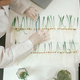 Uses a ruler. Woman is working in the laboratory with grass, agriculture plants - PhotoDune Item for Sale