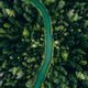 Aerial view of green forest trees and river flowing through the woods - PhotoDune Item for Sale