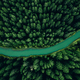 Aerial view of green forest trees and river flowing through the woods - PhotoDune Item for Sale