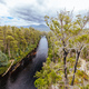 Tahune Airwalk in Tasmania Australia - PhotoDune Item for Sale
