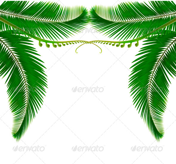 Palm leaves on white background - Flowers & Plants Nature