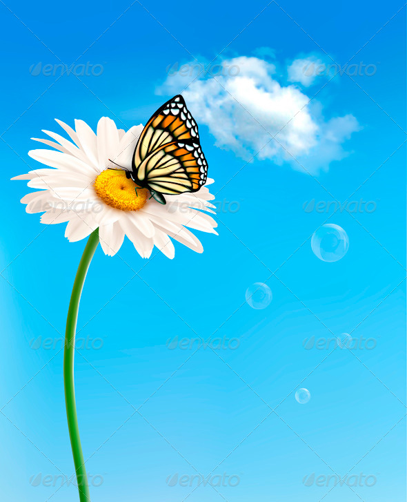 Nature spring daisy flower with butterfly - Flowers & Plants Nature