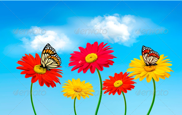 Flowers with Butterflies - Flowers & Plants Nature