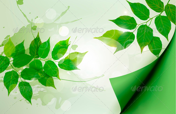 Nature Background with Leaves - Flowers & Plants Nature