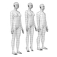 Natural Male and Female in Rest Pose Base Mesh
