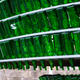 Several green glass bottles are neatly stacked on a shelf, likely awaiting industrial recycling or r - PhotoDune Item for Sale
