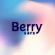 Berry Sans-Playful Quirky Sans Serif Font