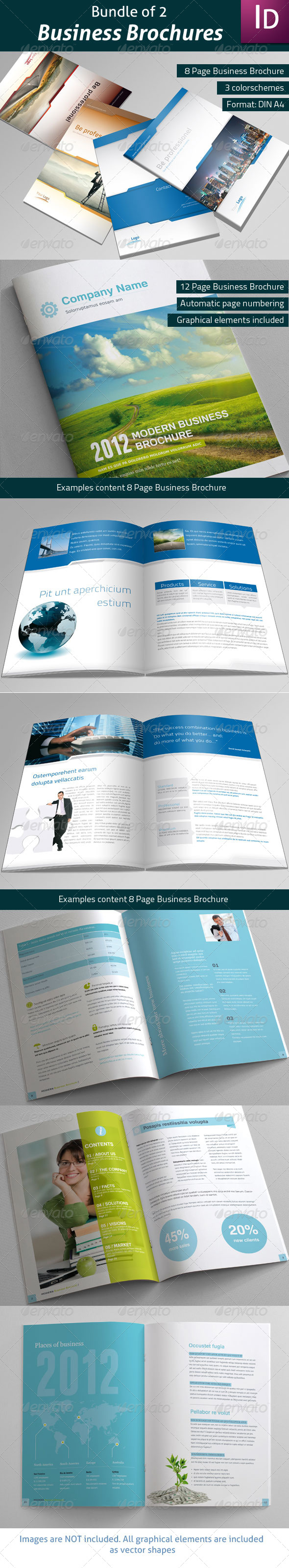 Bundle of 2 Business Brochures - Corporate Brochures