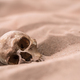 Human Skull In The Sand - PhotoDune Item for Sale
