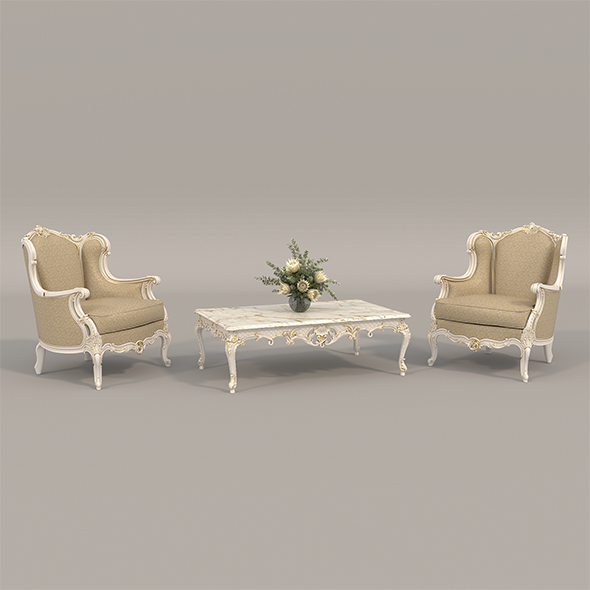 Classic European Style Coffee Table and Armchair 24