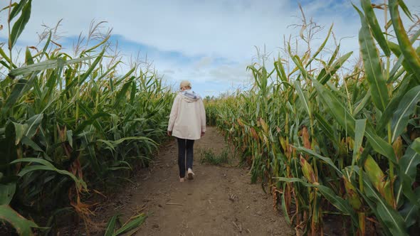 A Young Woman Walks Through an Autumn Maze in an American Farm alt