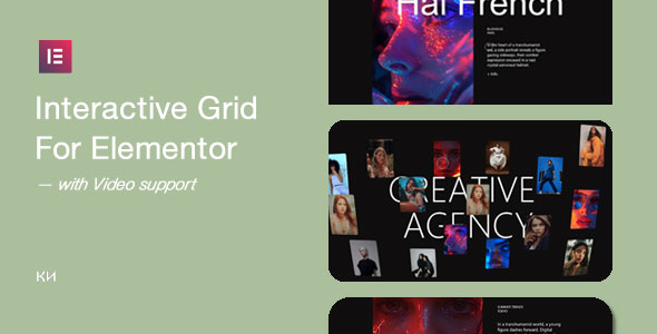 00interactive grid