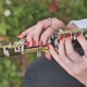 A Girl Plays the Clarinet in the Summer in the Park - VideoHive Item for Sale