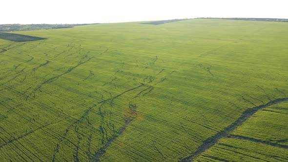 Agricultural Land Natural Disasters alt