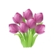 Pink 3D Tulips Bouquet