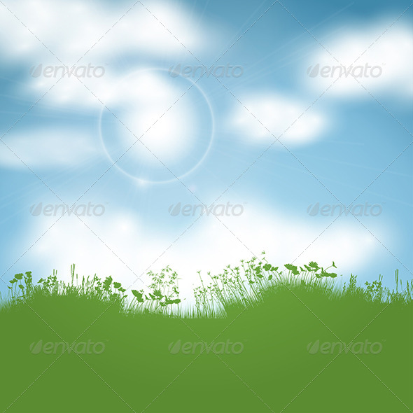 Sunny Landscape - Landscapes Nature