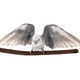 flying gray cockatiel - PhotoDune Item for Sale
